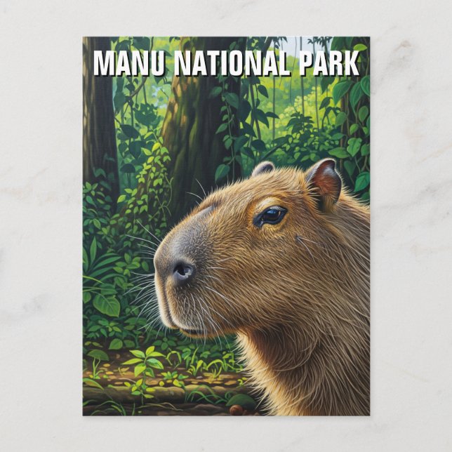 Carte Postale Capybara dans le Parc National de Manu Pérou (Devant)