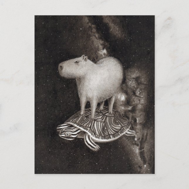 Carte Postale Capybara et Terrapin flying through space drawing (Devant)