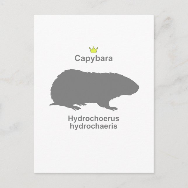 Carte Postale Capybara g5 (Devant)