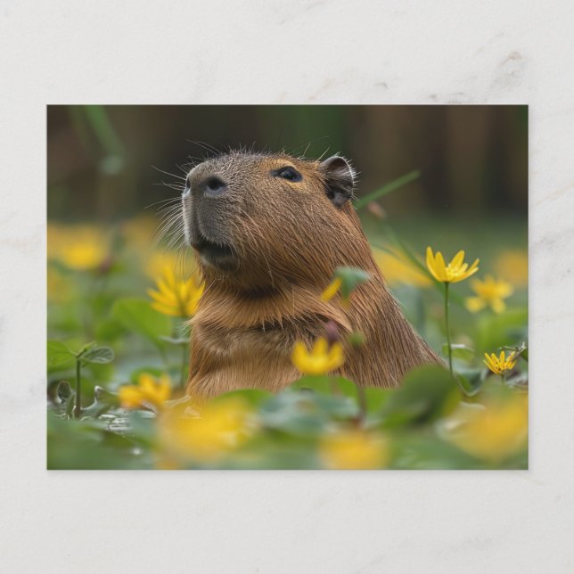 Carte Postale Capybara Parmi Les Lys D'Eau Jaune (Devant)