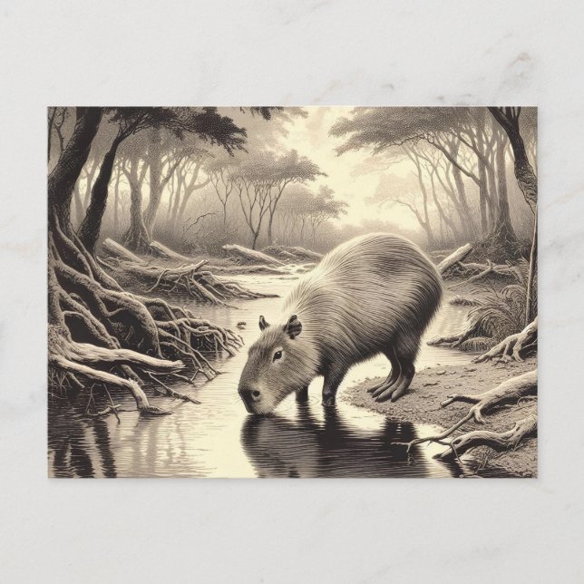 Carte Postale Capybara Vintage Etching (Devant)