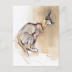 Carte Postale Caracal assis 2009