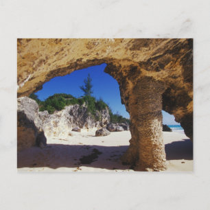 Carte Postale Caraïbes, Bermudes, Tucker's Town. Nature