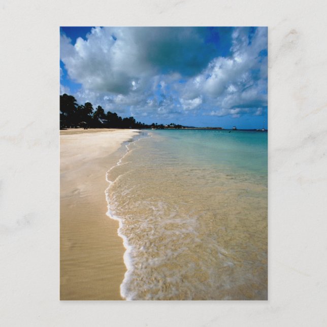 Carte Postale Caraïbes, îles Sous-le-Vent, Antigua, Dickenson (Devant)