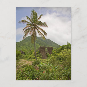 Carte Postale Caraïbes Ruines de sucre île Palm Tree scène