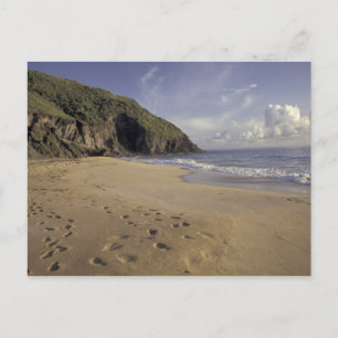 Carte Postale Caraïbes, Saint-Kitts. Empreintes sur l'Atlantique