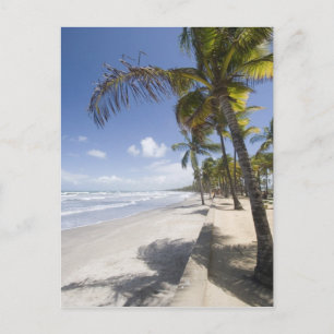 Carte Postale Caraïbes - Trinité - Plage de Manzanilla sur