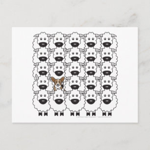 Carte Postale Cardigan Welsh Corgi dans le mouton