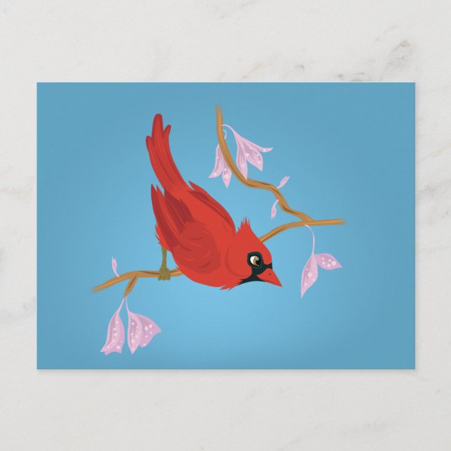 Carte Postale Cardinal (Devant)