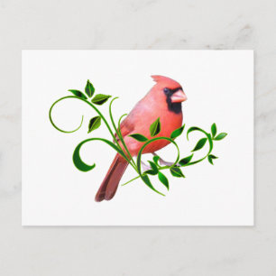 Carte Postale Cardinal