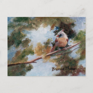 Carte postale Cardinal Bébé