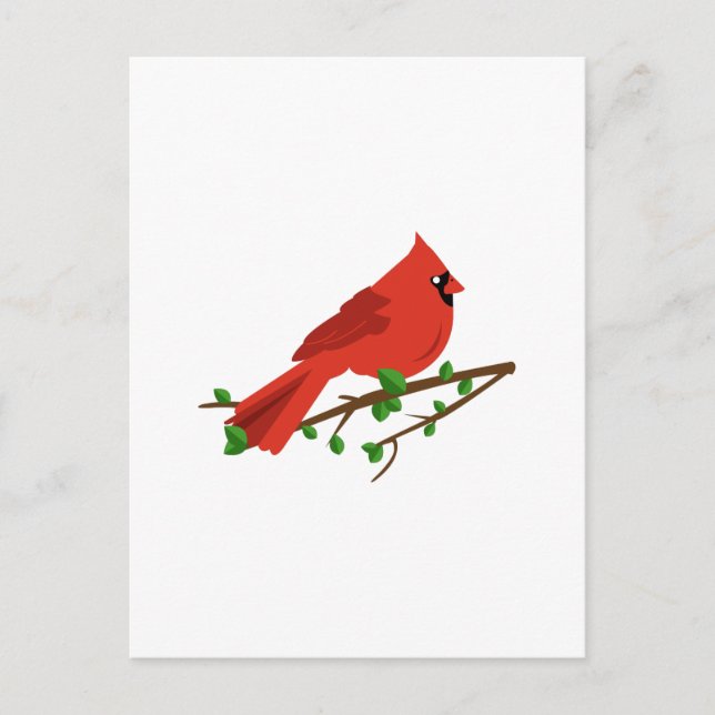 Carte Postale Cardinal Bird (Devant)