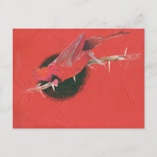 Carte Postale Cardinal bird animal illustration drawing red blac