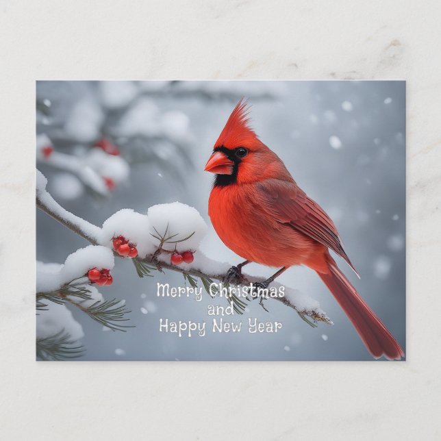Carte Postale Cardinal de Noël (Devant)