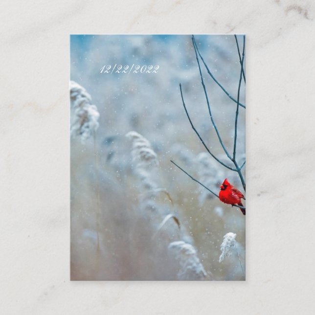 Carte postale Cardinal d'hiver RSVP (Devant)