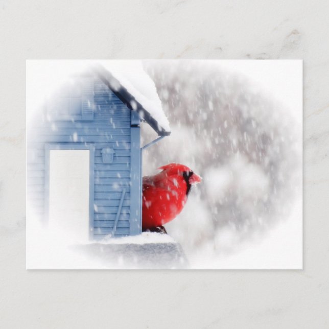 Carte Postale Cardinal du Jour de la Neige - Oiseau (Devant)