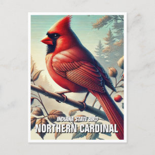 Carte Postale Cardinal du nord de l'Indiana State Bird
