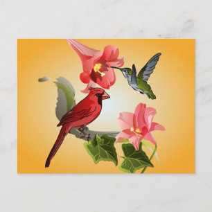 Carte Postale Cardinal et Colibri avec Lys roses et Ivy