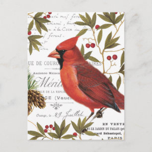 Carte Postale Cardinal forestier vintage moderne
