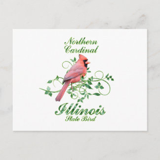 Carte Postale Cardinal Illinois State Bird