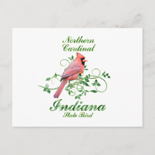 Carte Postale Cardinal Indiana State Bird