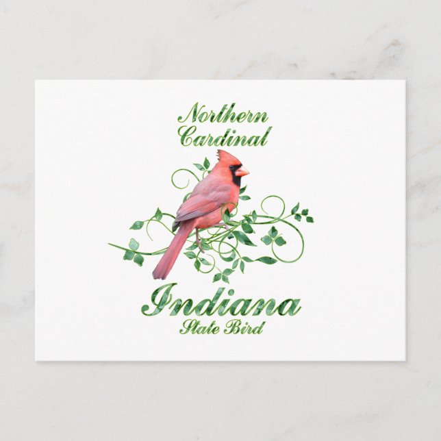Carte Postale Cardinal Indiana State Bird (Devant)