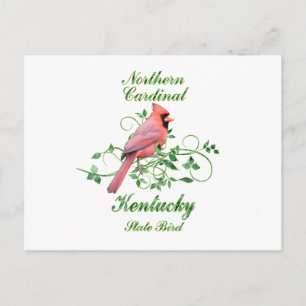 Carte Postale Cardinal Kentucky State Bird