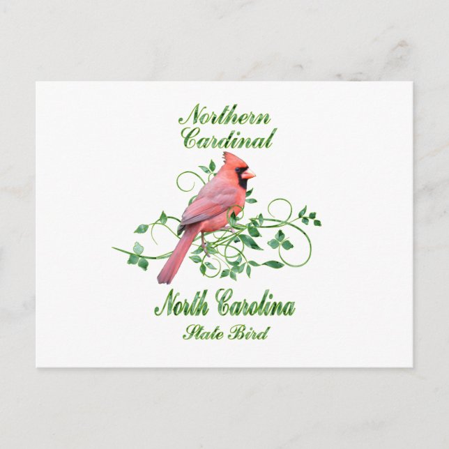 Carte Postale Cardinal North Carolina State Bird (Devant)