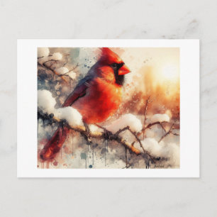 Carte Postale Cardinal perché sur une branche enneigée,