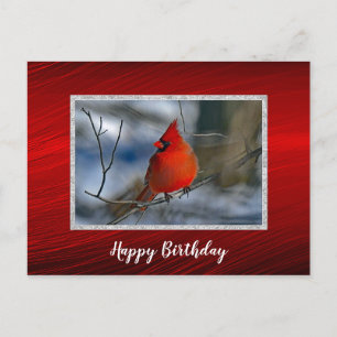 Carte Postale Cardinal Red Winter Photo Anniversaire