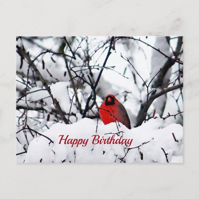 Carte Postale Cardinal Redbird Photo Anniversaire (Devant)
