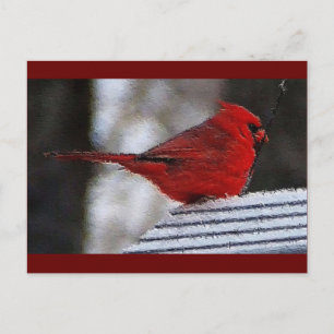 Carte Postale Cardinal Richelieu