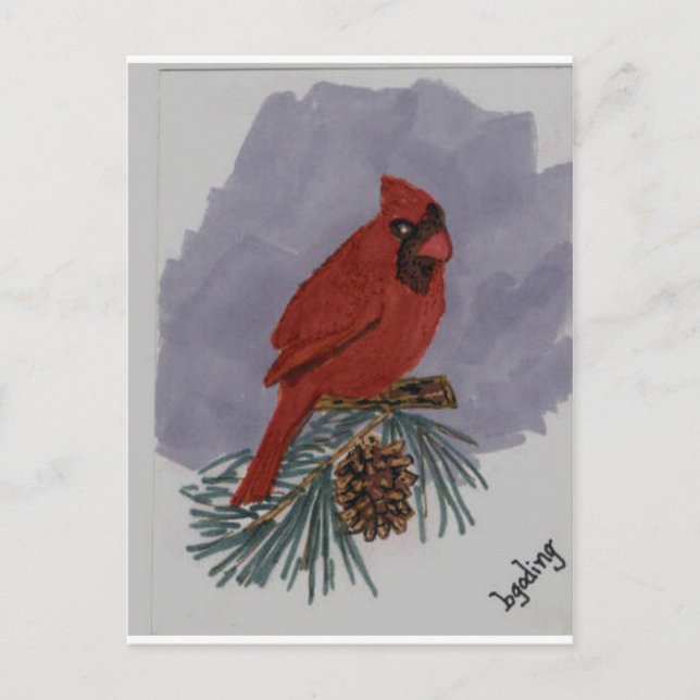 Carte Postale Cardinal rouge (Devant)