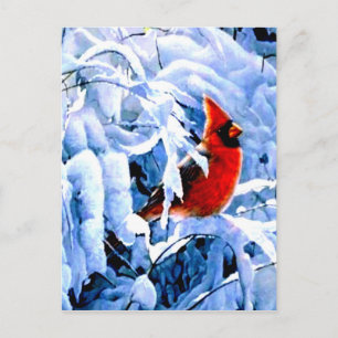 Carte Postale Cardinal Rouge dans la neige d'hiver