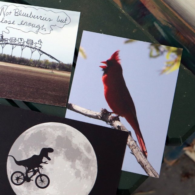 Carte Postale Cardinal rouge du Nord (Créateur téléchargé)