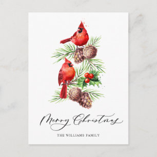 Carte Postale Cardinal Rouge Holly Berry Noël