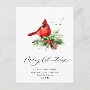 Carte Postale Cardinal Rouge Holly Berry Noël