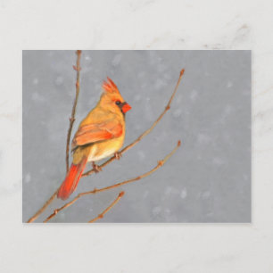 Carte Postale Cardinal sur la peinture de branche - Art original
