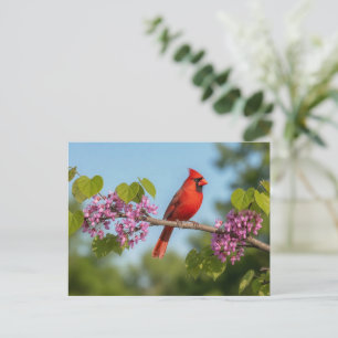 Carte Postale Cardinal sur une branche de Redbud