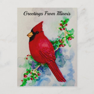 Carte postale cardinale de l'Illinois State Bird
