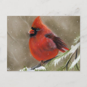 Carte postale cardinale rouge de Noël d'oiseau