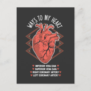 Carte Postale Cardiologie cardiaque Echo Cardiologue étudiant Mé