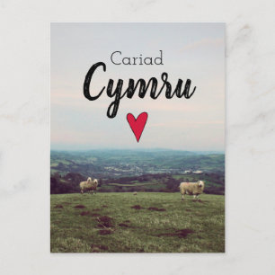 Carte Postale Cariad Cymru Galles Vintages Paysage Les moutons