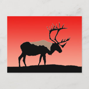 Carte Postale Caribou au coucher du soleil - Art original de la 