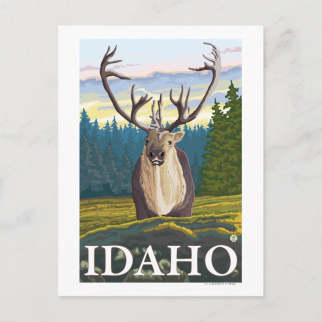 Carte Postale Caribou en pleine nature - Idaho (Devant)