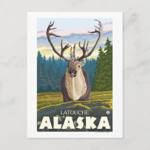 Carte Postale Caribou en pleine nature - Latouche, Alaska