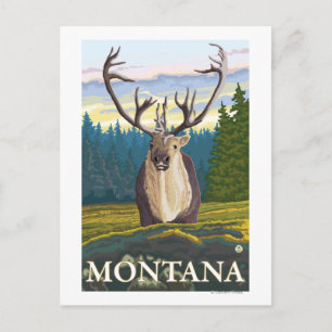 Carte Postale Caribou en pleine nature - Montana