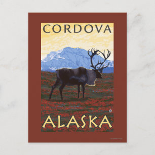 Carte Postale Caribou Scene - Cordova, Alaska