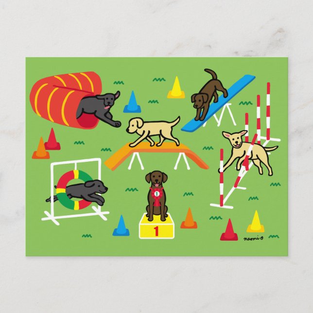 Carte Postale Caricature d'agilité pour rétrificateur de chocola (Devant)