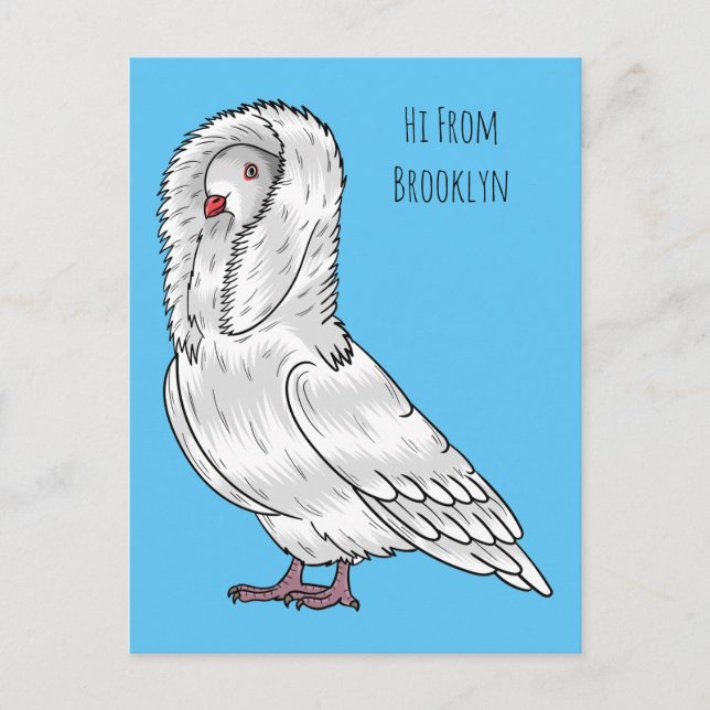 Carte Postale Caricature d'oiseau pigeon Jacobin (Devant)